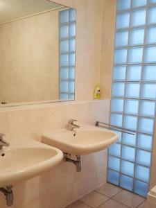 łazienka z 2 umywalkami i lustrem w obiekcie Mees w mieście Hollum