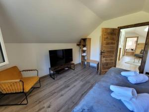 Habitación con cama, TV y sofá. en La cabane des écureuils, en Xonrupt-Longemer