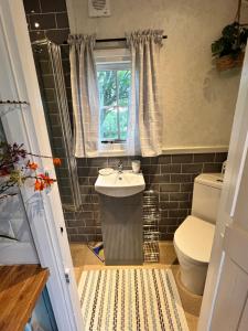 a bathroom with a sink and a toilet at The Hazel Hut in Westport