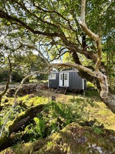 uma pequena casa no meio de um campo em The Hazel Hut em Westport