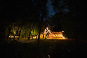にあるCamp Ćukの夜の森の中のログキャビン
