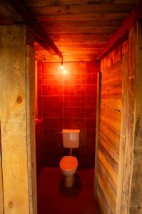 a bathroom with a toilet in a room with red tiles at Camp Ćuk 