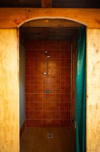 a bathroom with a shower with red tiled walls at Camp Ćuk 