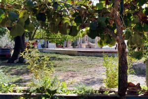 Fotografia z galérie ubytovania Family friendly house with a swimming pool Valtura, Pula - 7324 v destinácii Pula