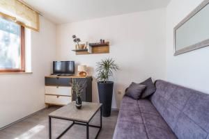 TV a/nebo společenská místnost v ubytování Family-friendly apartments with swimming pools Krnica, Marcana - 7357
