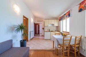 Kuchyň nebo kuchyňský kout v ubytování Family-friendly apartments with swimming pools Krnica, Marcana - 7357