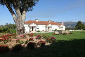 Κήπος έξω από το Quinta dos Brazilaves - Ponte de Lima
