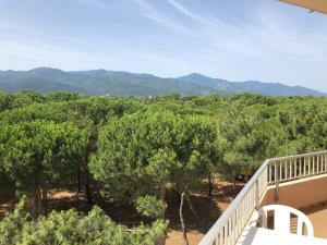 einen Balkon mit Blick auf einen Wald von Bäumen in der Unterkunft Plage des Pins in Argelès-sur-Mer