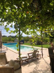 uma piscina com cadeiras e uma árvore em CARLIN Ferme Haute Prairie em Lourmarin