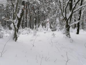Landhaus Dahlem im Winter
