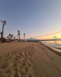 een zandstrand met palmbomen en de oceaan bij Saint Cristofer house in Catania