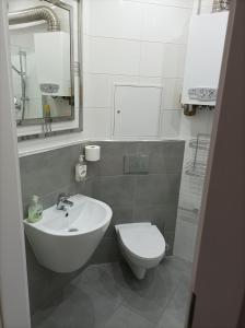 a bathroom with a sink and a toilet and a mirror at Przy Katedrze in Koszalin