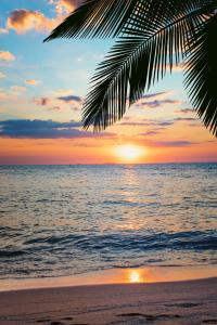 a sunset on the beach with a palm tree at Holiday Inn Detroit Lakes, an IHG Hotel in Detroit Lakes