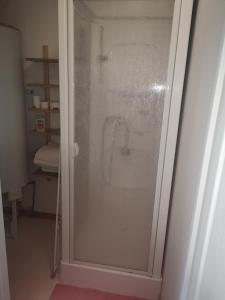 una puerta de ducha de cristal en una habitación en Appartement Chaleureux, en Albert