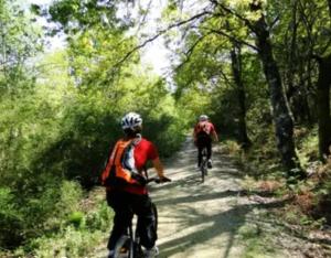 twee mensen die fietsen op een pad in het bos bij Casa Barca Velha in Ponte da Barca