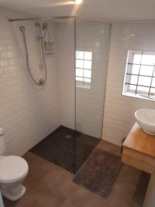 a bathroom with a shower and a toilet and a sink at Karibu Self-catering Accommodation in Hermanus