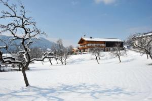 Stegerbauer during the winter
