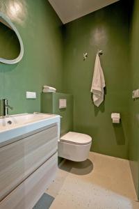 een groene badkamer met een toilet en een wastafel bij Boeren Maison in Wedde
