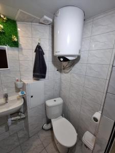 Baño pequeño con aseo y lavamanos en Бутиков Апартамент - Тракия, en Shumen