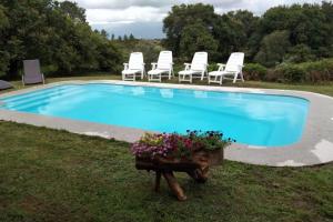 een zwembad met stoelen en een tafel met bloemen bij Lobetios - Casa rural in Parada de Achas