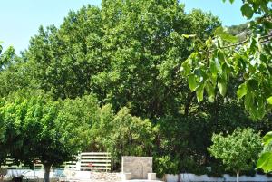 Vonkajšia záhrada v ubytovaní Guesthouse Eleftherios
