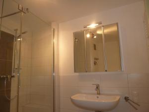 een badkamer met een wastafel en een douche met een spiegel bij Wohnen im Riemenschneiderhaus in Würzburg