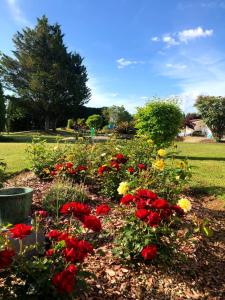 a garden with red and yellow flowers in a park at lagalerne in Neuville-de-Poitou
