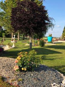 einen Garten mit einem Baum und Blumen in einem Park in der Unterkunft lagalerne in Neuville-du-Poitou