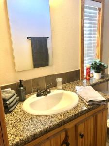 a bathroom counter with a sink and a mirror at The Armadillo Cabin - Cabins At Rim Rock in Austin