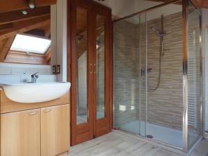 ein Bad mit einem Waschbecken und einer Dusche in der Unterkunft Franziska's Place in Cannero Riviera