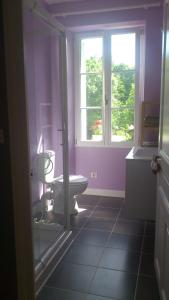 a bathroom with a toilet and a window at La Maison des Renaudières in Azay-le-Rideau
