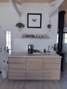 a kitchen with a sink and a counter at Stunning Tiny House Tree of Life at lake Skagern in Finnerödja
