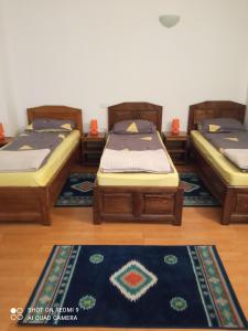3 camas en una habitación con alfombras en el suelo en PENSIUNEA DODO, en Pătîrlagele