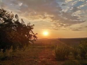 Fotografie z fotogalerie ubytování Dimitra's sunny villa v destinaci Mirsinokhórion