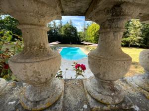 Château d'Argentonesse内部或周边的泳池