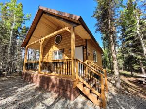 a cabin in the woods with a large deck at Denali Wild Stay - Redfox Cabin, Free Wifi, private, sleep 6 in Healy