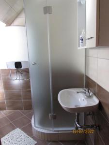 a bathroom with a shower and a sink at Guest House Nenad in Plitvička Jezera