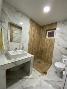 ein Bad mit einem Waschbecken und einem WC in der Unterkunft Vila Simona in Mavrovo-Nationalpark