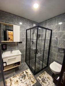 a bathroom with a shower and a sink and a toilet at MİNTONA VİLLA SUİT in Çamlıhemşin