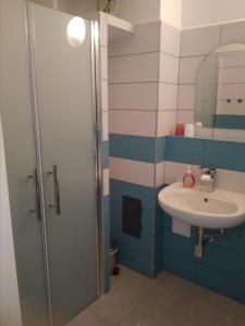 y baño con lavabo y ducha. en Dvůr v Borovné, en Borovná