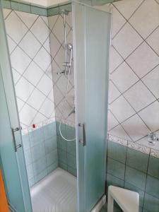 y baño con ducha, aseo y lavamanos. en FRATAS AGRITURISMO BELVEDERE en Brognaturo