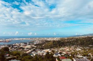 uma vista aérea de uma cidade e do oceano em Meherio - Bel Appartement vue mer à TAHITI em Papeete