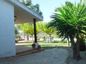 una casa con una palmera y un patio en Casa Rural Eucaliptus, en Montferri