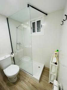 a bathroom with a toilet and a glass shower at PALACIO DE LARRINAGA in Zaragoza +20 photos