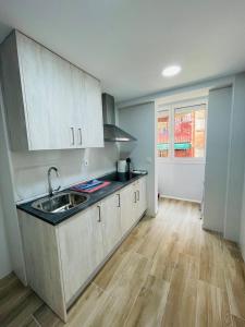 a kitchen with a sink and a counter top at PALACIO DE LARRINAGA in Zaragoza