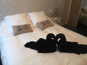 Dois cisnes negros estão deitados numa cama. em Appartement Chez Bernadette à 50m de la plage em Saint-Cast-le-Guildo