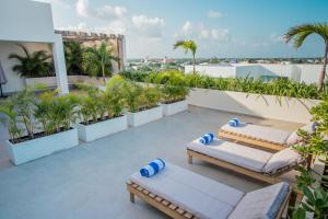- un balcon avec des lits et des palmiers dans un bâtiment dans l'établissement Condos with ocean view pool in Av 10 & 60 street, à Playa del Carmen
