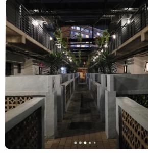 a hallway in a building with plants and lights at Maboneng Craftsmanship place in Johannesburg +2 photos