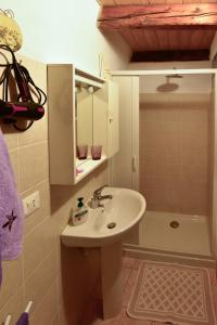 皮尼亞的住宿－sax & rosa，一间带水槽和淋浴的浴室