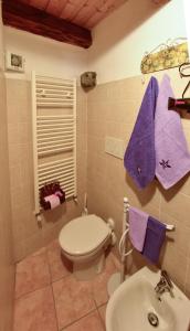 皮尼亞的住宿－sax & rosa，一间带卫生间和水槽的浴室